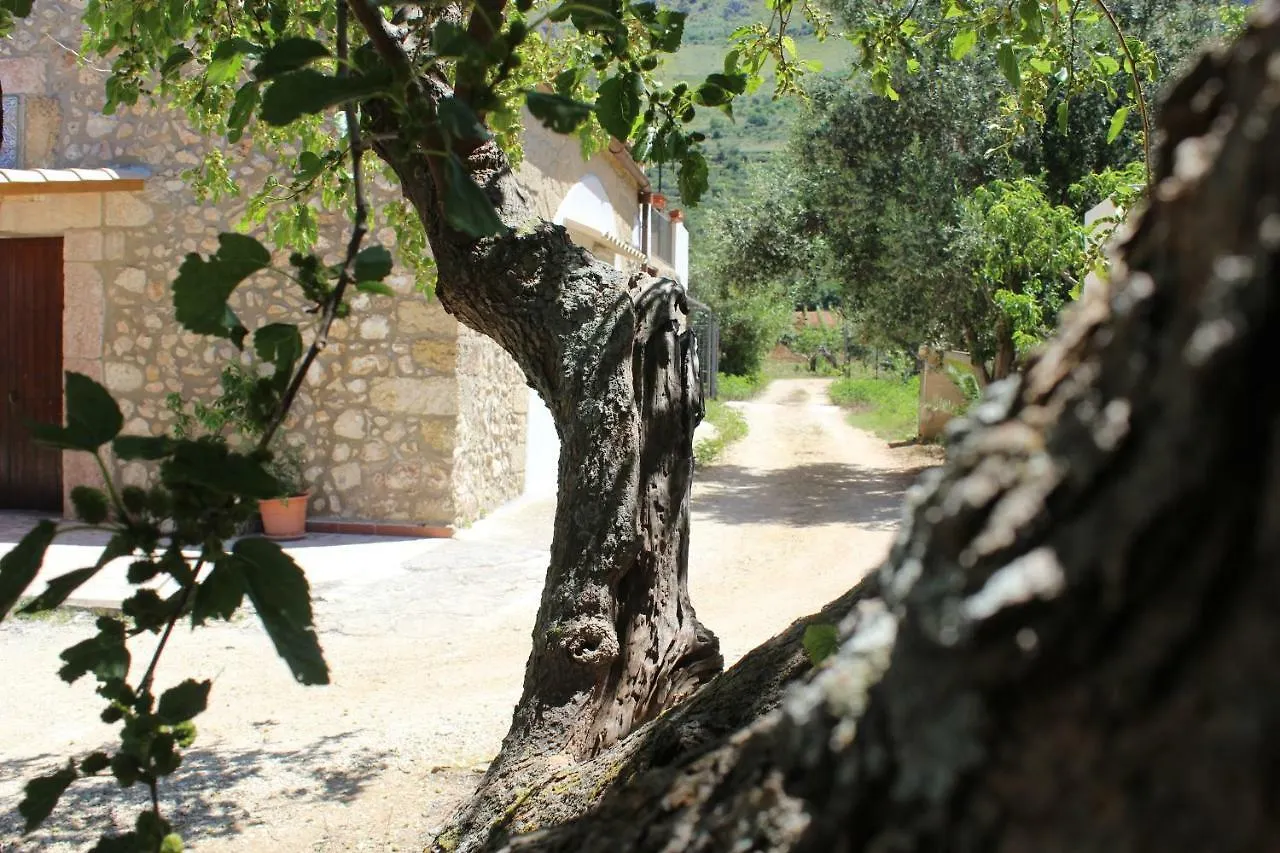 Rustici L'Antico Torchio Villa Castellammare del Golfo Holiday home